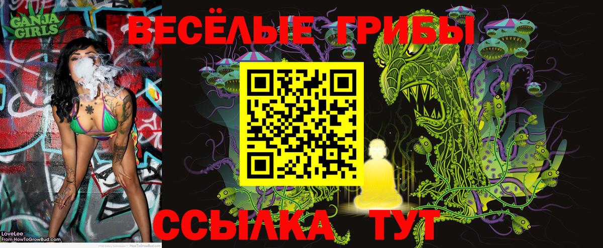 Галлюциногенные грибы ЛСД Тара