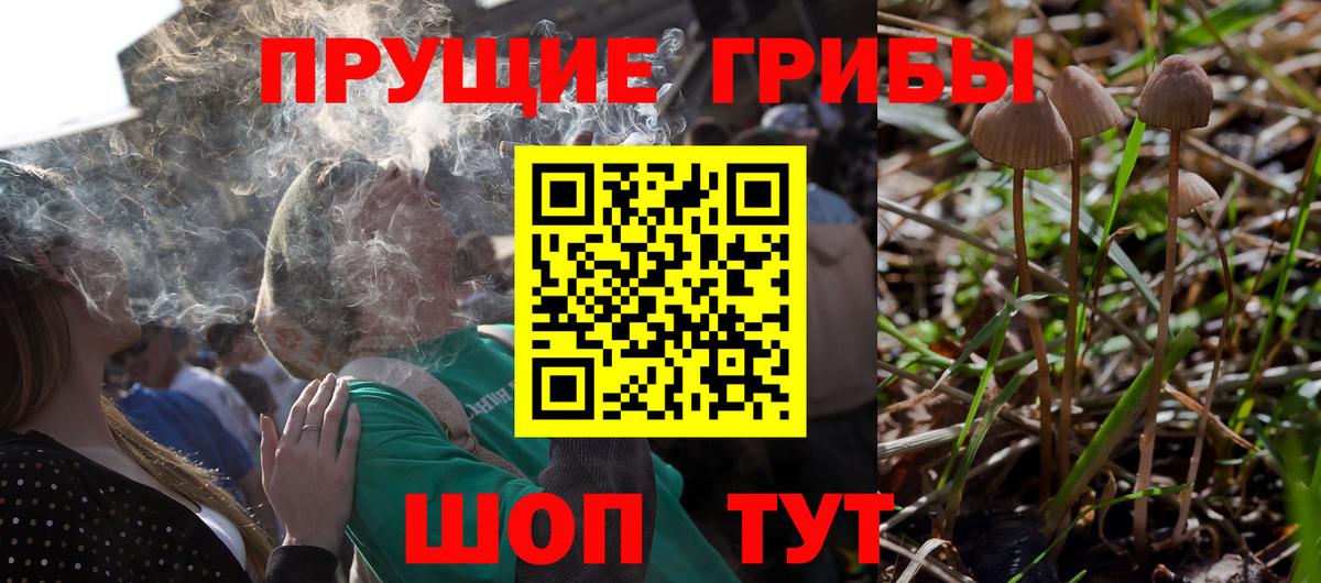 Псилоцибиновые грибы мицелий  Вход с VPN  Тара 
