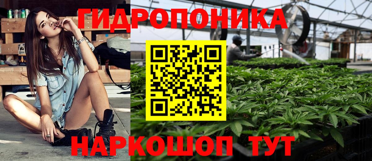 Бошки марихуана гибрид  Шишки марихуана MAZAR  Тара  Бошки Шишки White Widow  Вход с VPN 